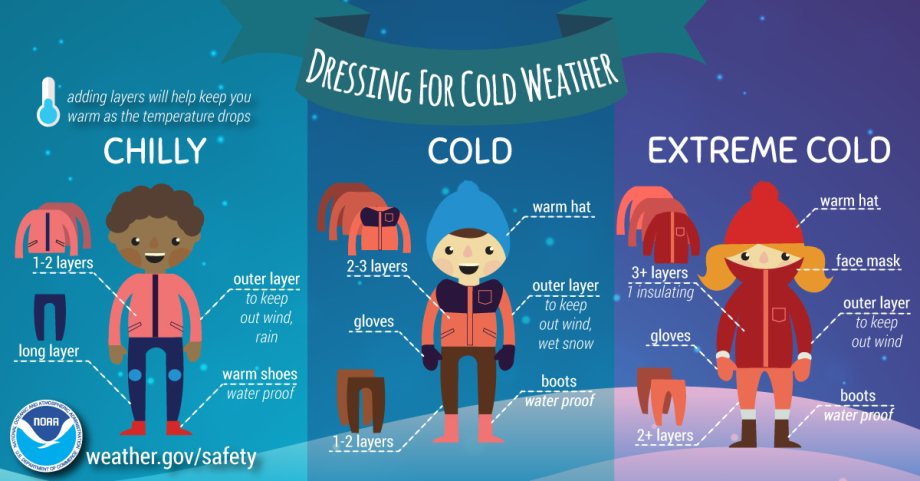 Winter Dress Infographic