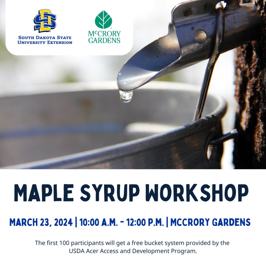 Maple Syrup Workshop ad: March 23, 2024 from 10 a.m. to noon at McCrory Gardens